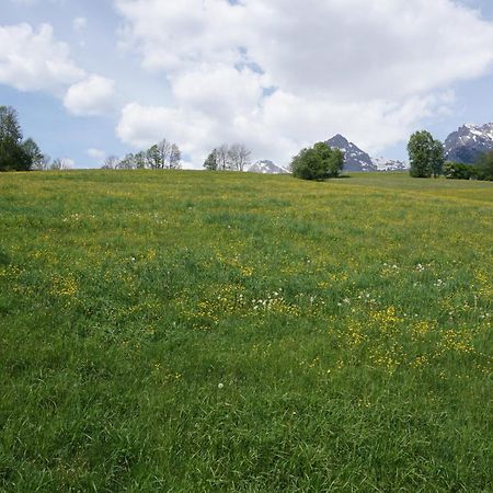 Pension & Appartements Anny Maria Alm am Steinernen Meer Εξωτερικό φωτογραφία