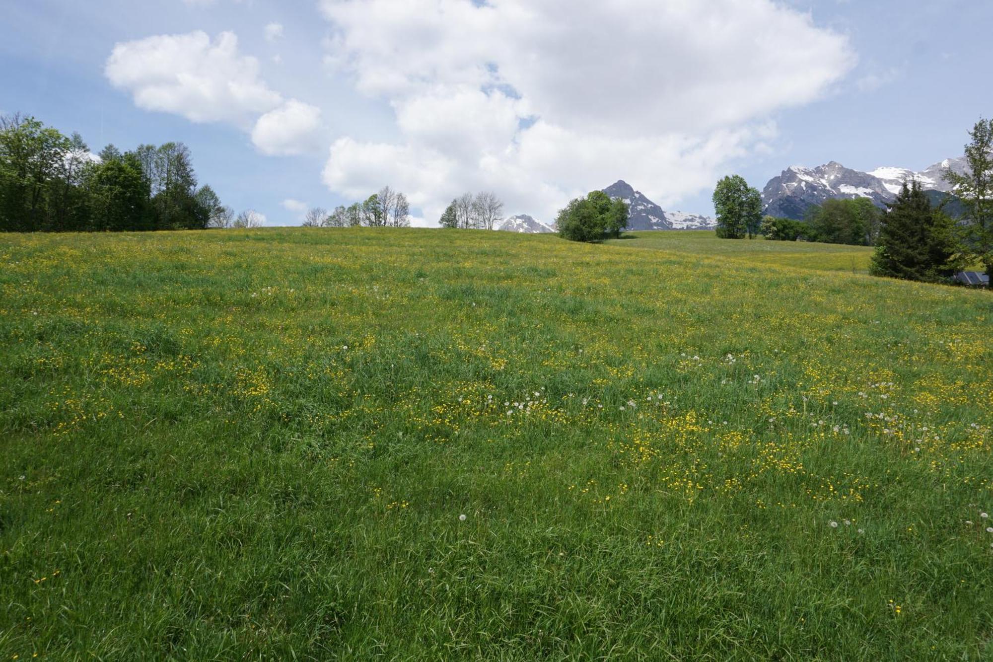 Pension & Appartements Anny Maria Alm am Steinernen Meer Εξωτερικό φωτογραφία