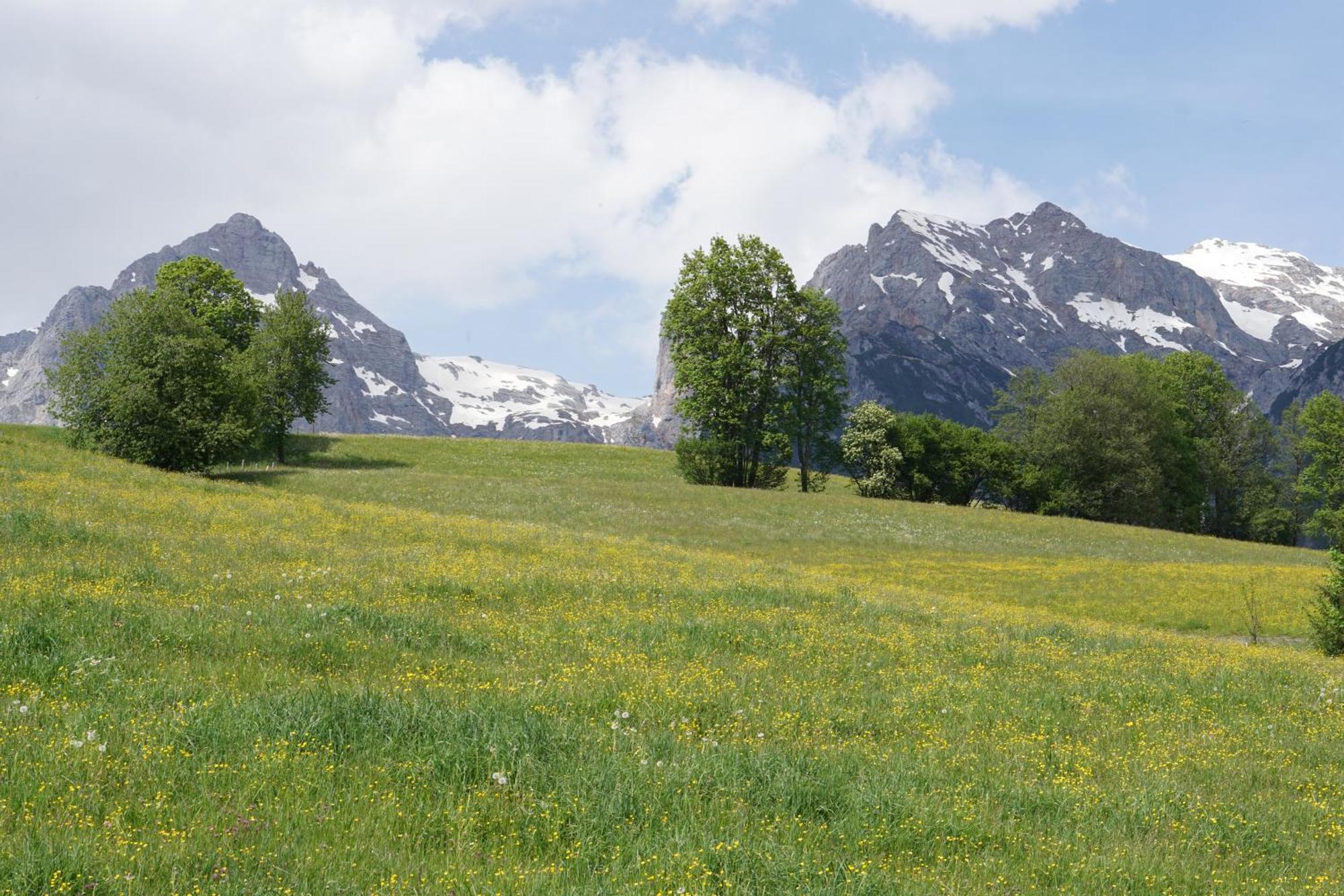 Pension & Appartements Anny Maria Alm am Steinernen Meer Εξωτερικό φωτογραφία